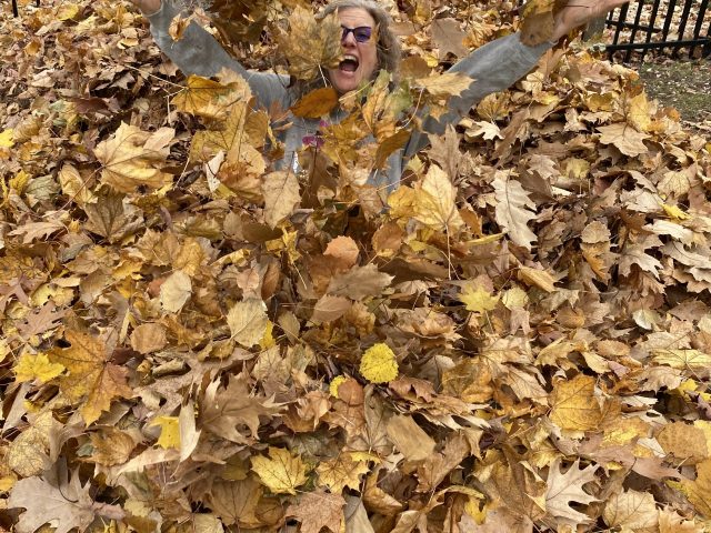 funny shout fall leaves ramona